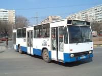 poze - kaza - ROCAR