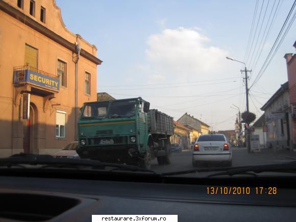 poze - un dac care mi-a iesit in cale la lugoj - ROMAN