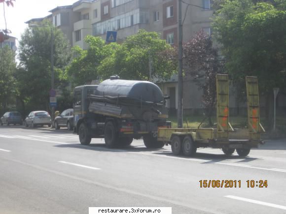 poze - o cacatoare care transporta...... :) - ROMAN