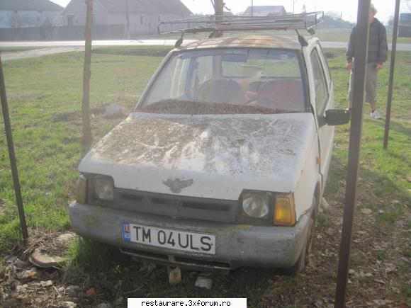poze - o bird gasita la birda - LASTUN