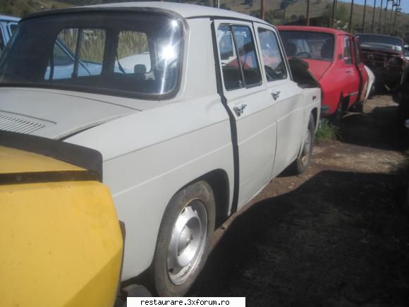 poze - sutica la remat :( :( - DACIA