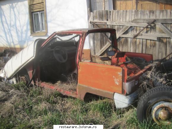 poze - tot la birda, un biet lastun taiat, cred ca vrut - LASTUN