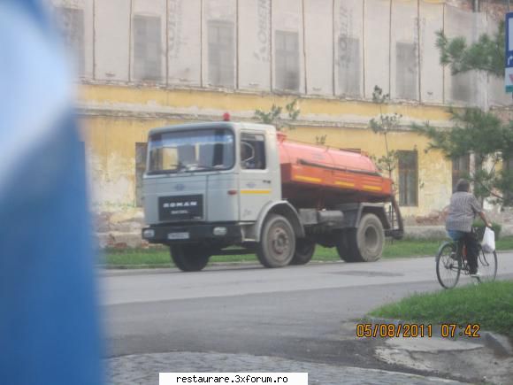 poze - am mai vazut si o cacatoare - ROMAN