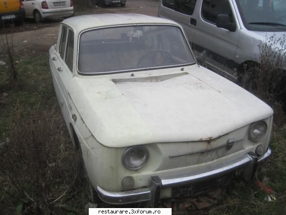 poze - sutica abandonata :( :( - DACIA
