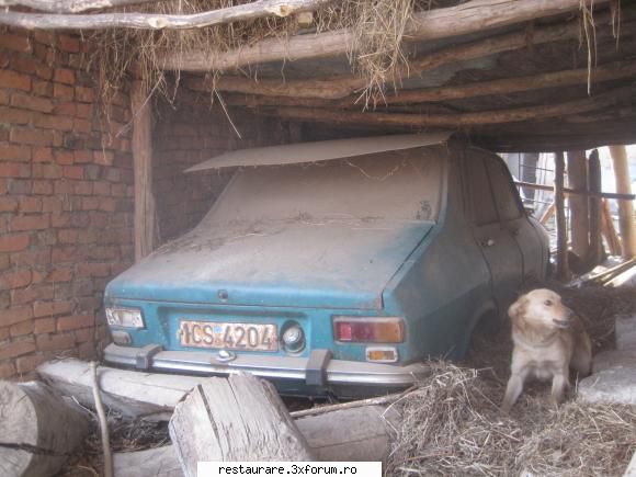 poze - 1300 statuta de muult - DACIA